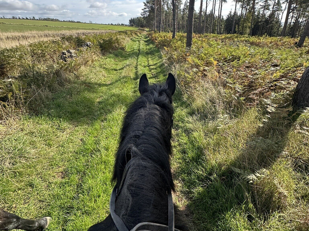 Bilsdale Riding Centre-Hawnby必去景点