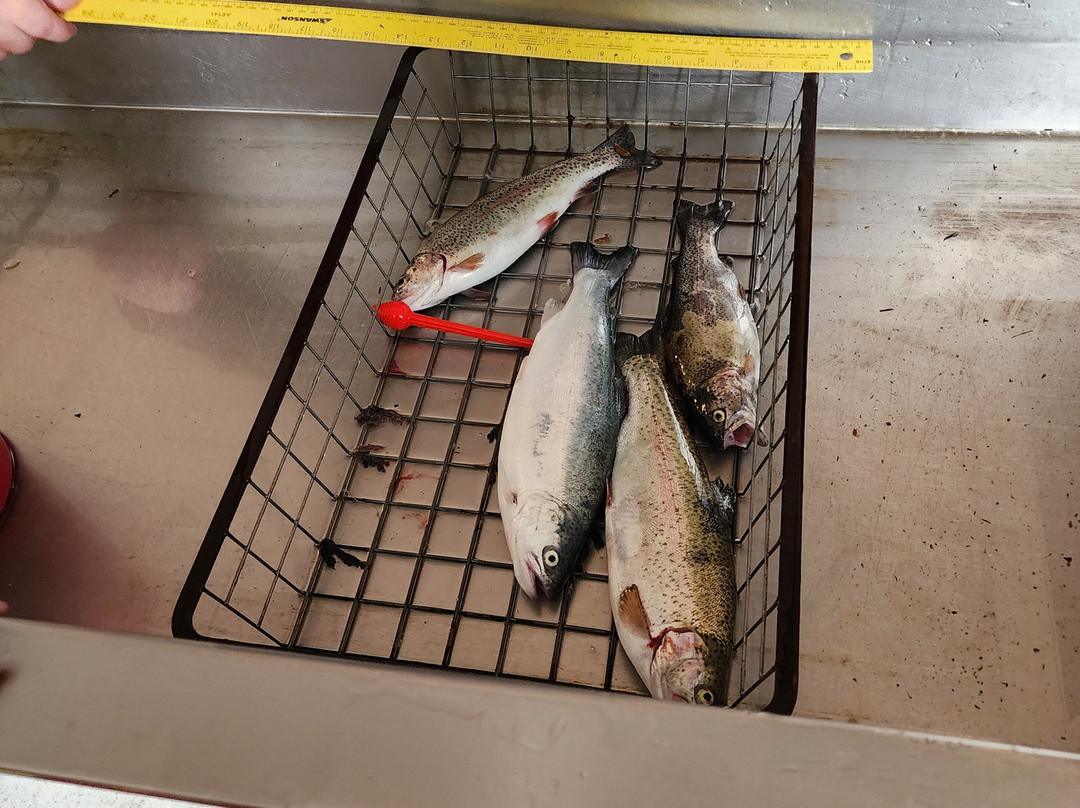 Rainbow Trout Farm-Sandy必去景点