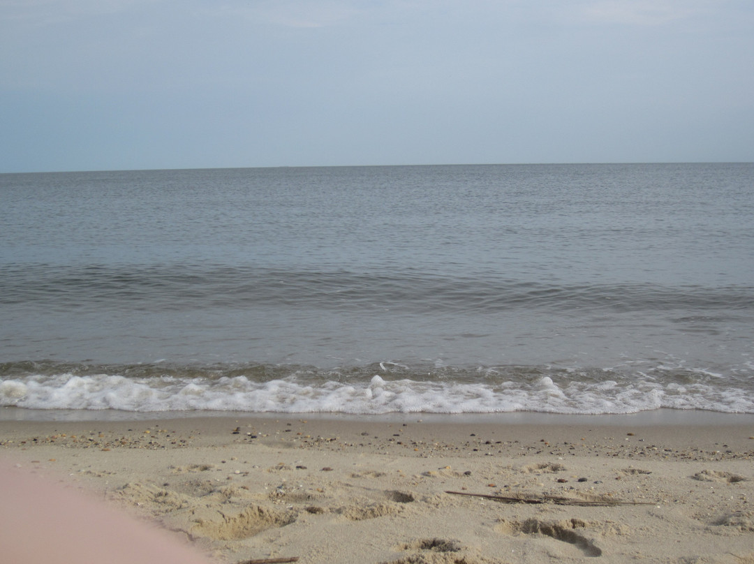 Lewes Beach-刘易斯必去景点