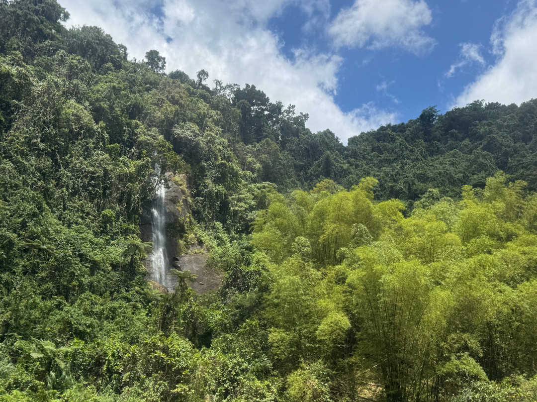 The Jewel Of Fiji - Day Tours-维提岛必去景点