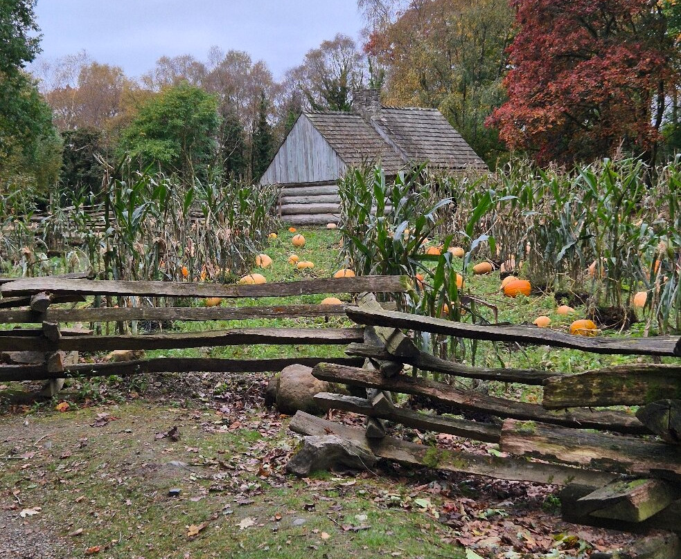 Ulster American Folk Park-奥马必去景点