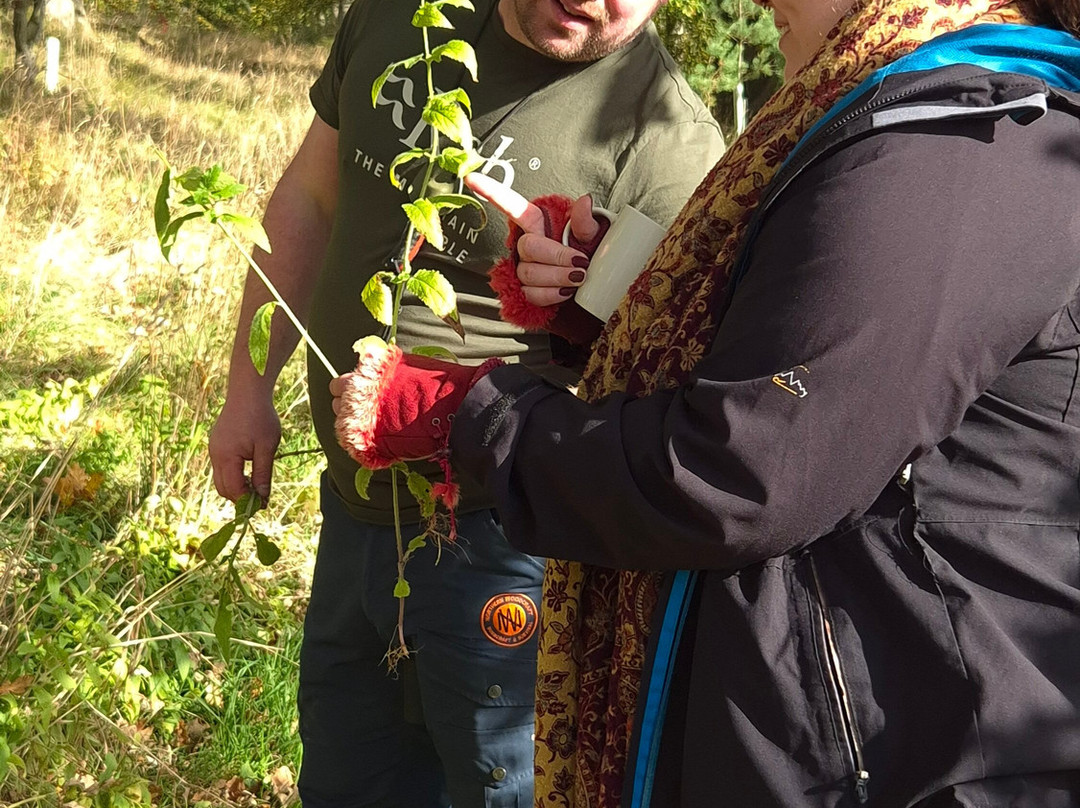 Northern Woodcraft-Holystone必去景点