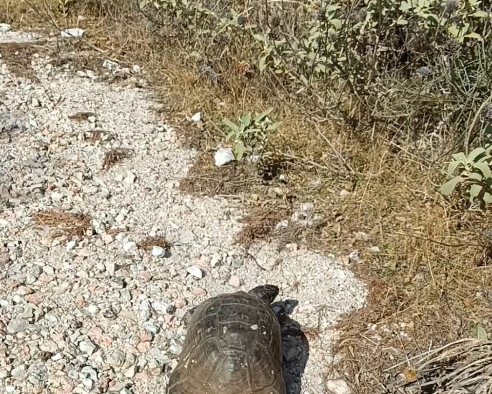 Koutouki Cave-派阿尼亚必去景点