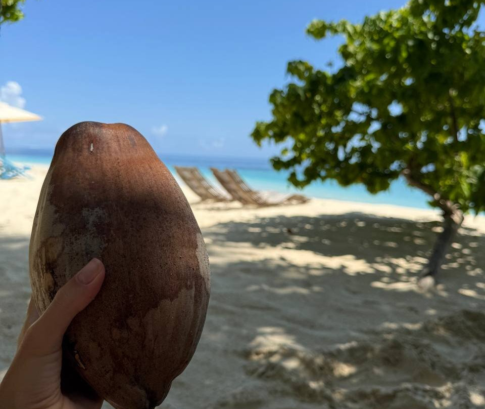 Dhoani Maldives Guesthouse主图