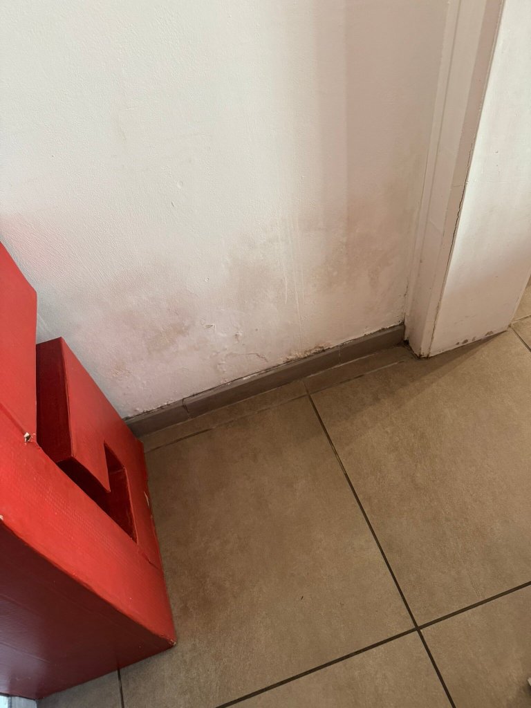 罂粟花酒店-官方