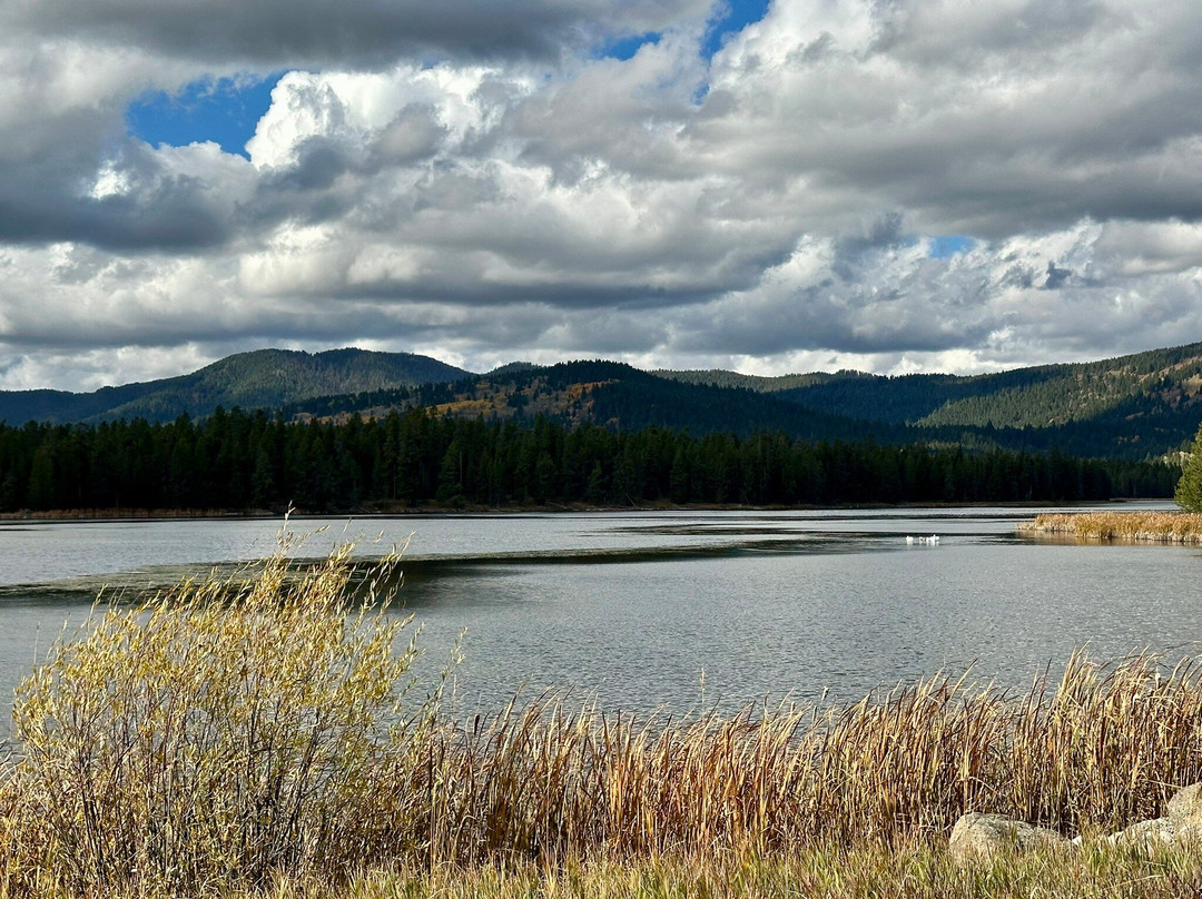 Dry Ridge Outfitters