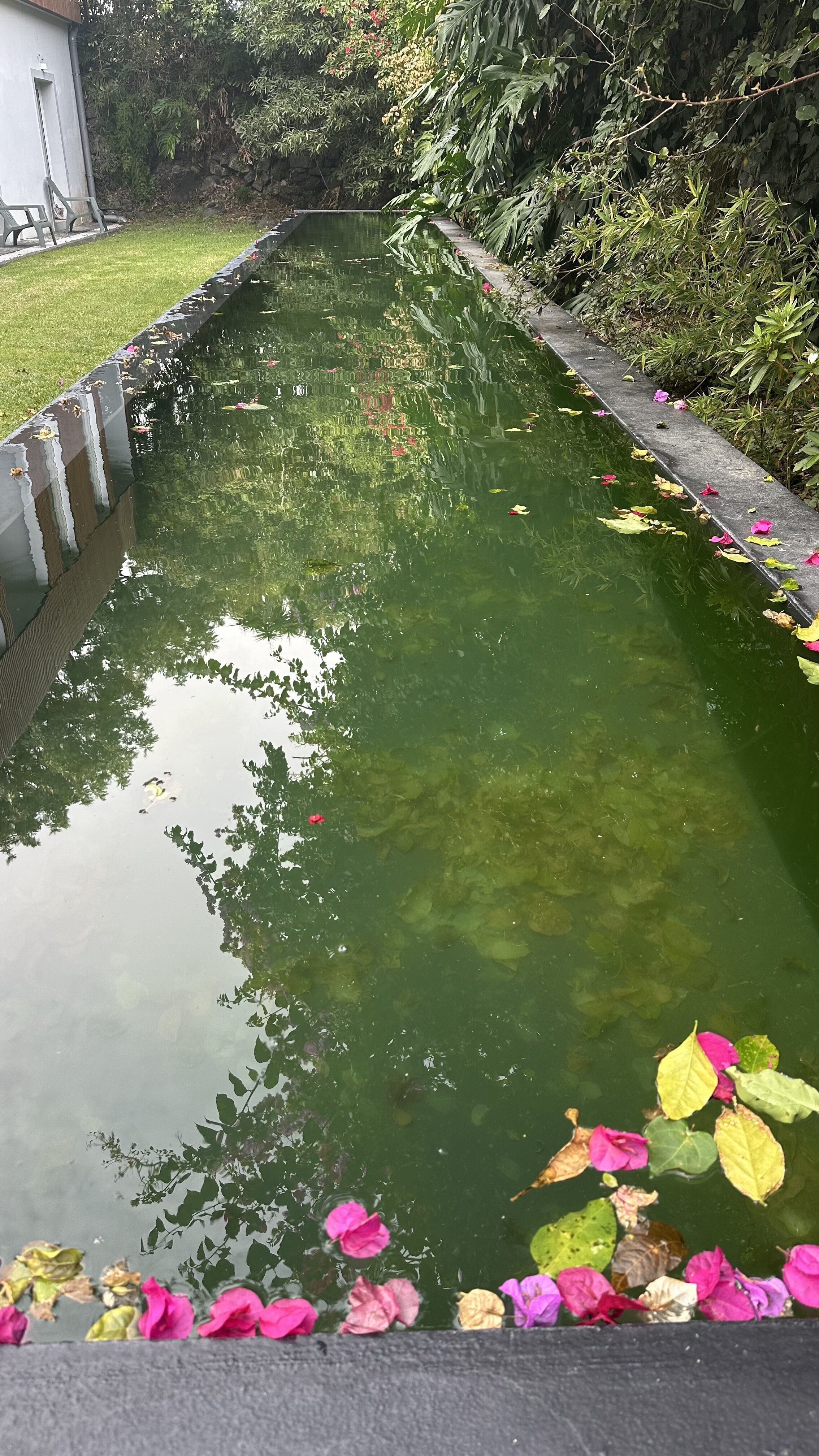 Senhora da Rosa, Tradition & Nature Hotel-酒店景观