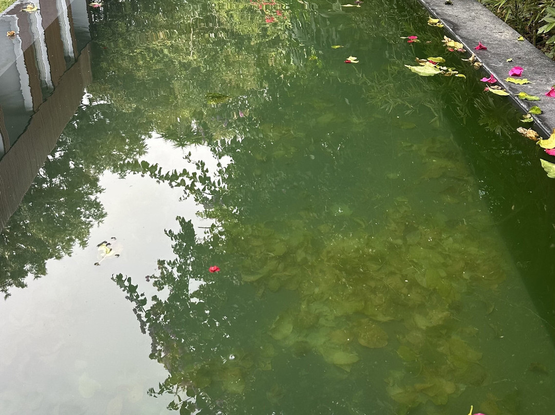 Senhora da Rosa, Tradition & Nature Hotel主图
