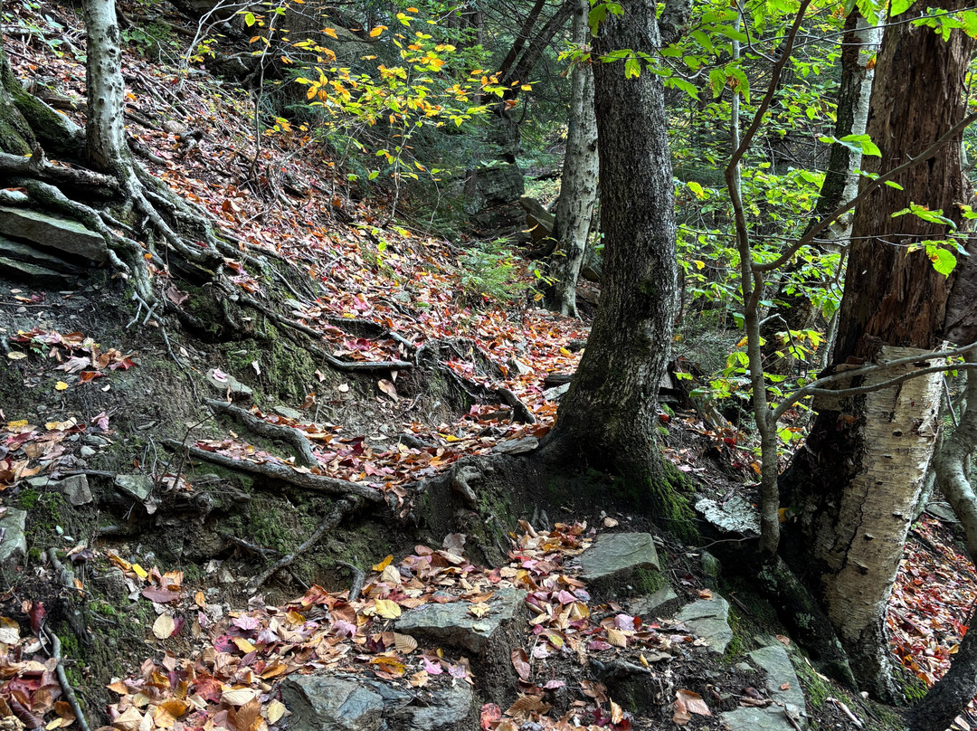 Lye Brook Falls-曼彻斯特必去景点
