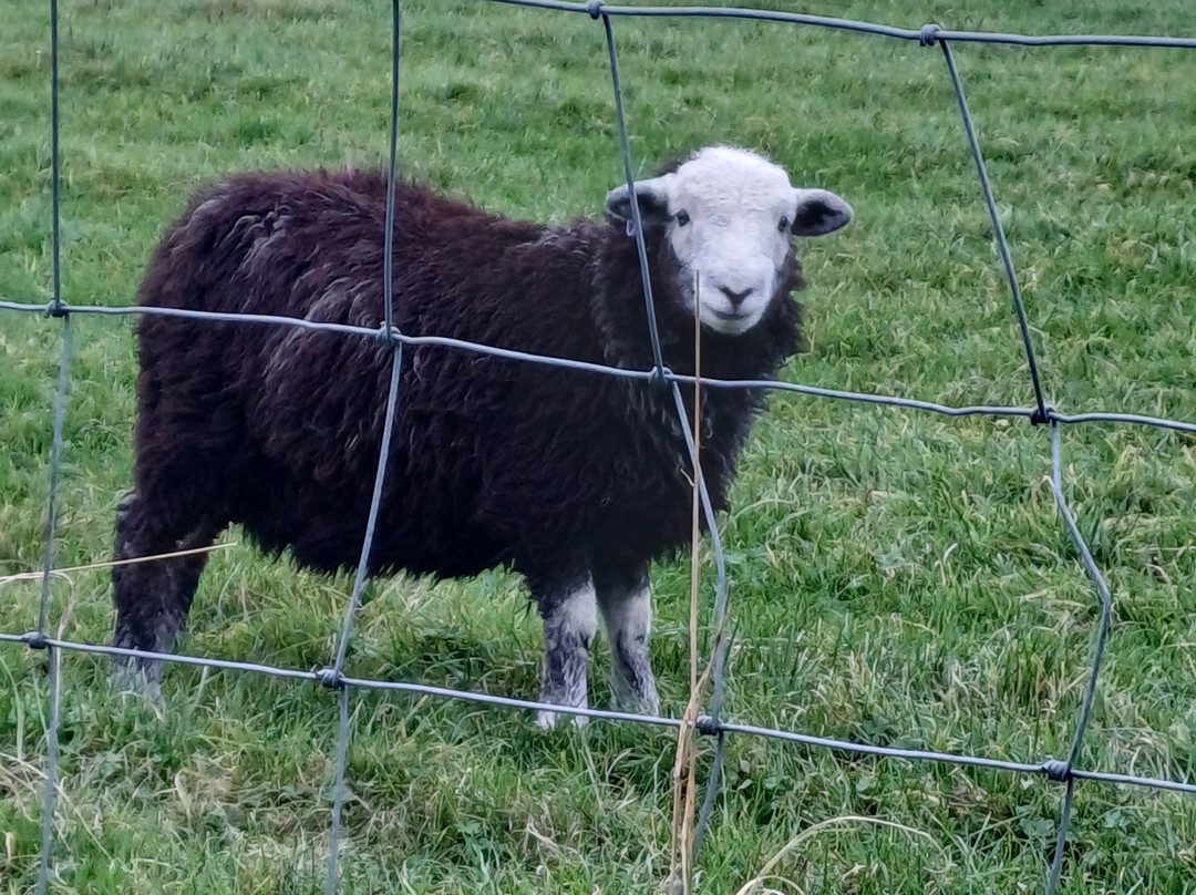 Meadowcroft Country Guest House主图