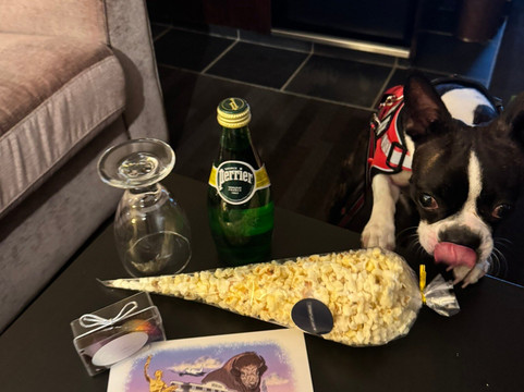 温尼伯机场希尔顿套房酒店主图