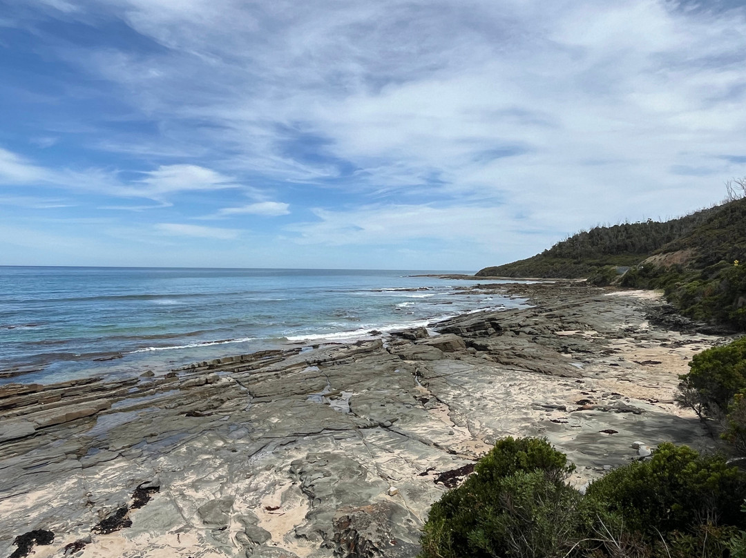 Cumberland River-洛恩必去景点