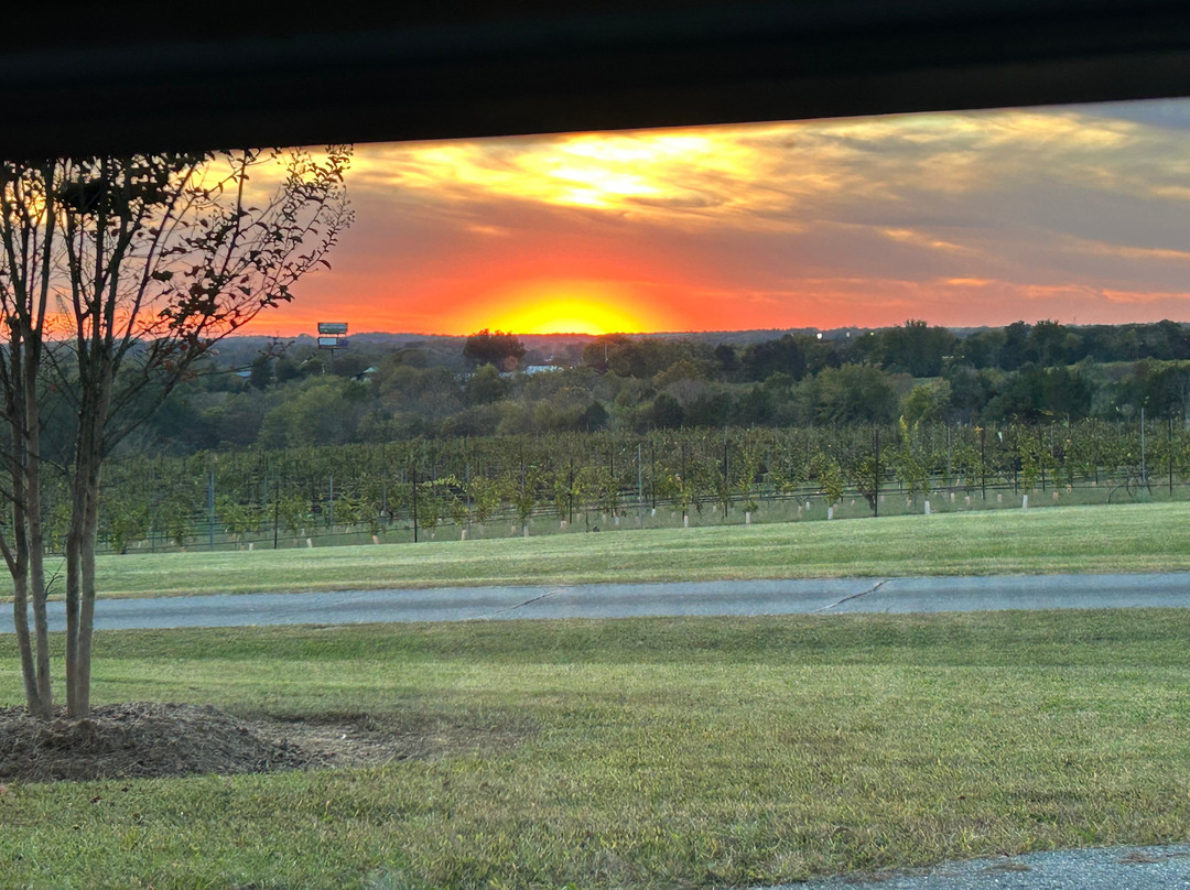 Rayson Winery and Vineyards-Mocksville必去景点