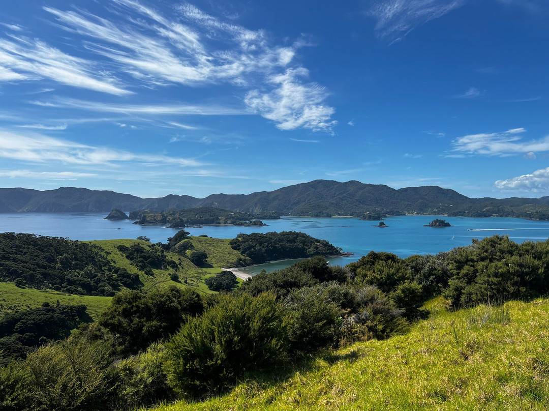 Urupukapuka Island-派希亚必去景点