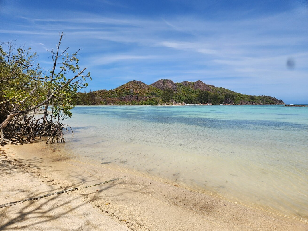Curieuse Island-普拉兰岛必去景点