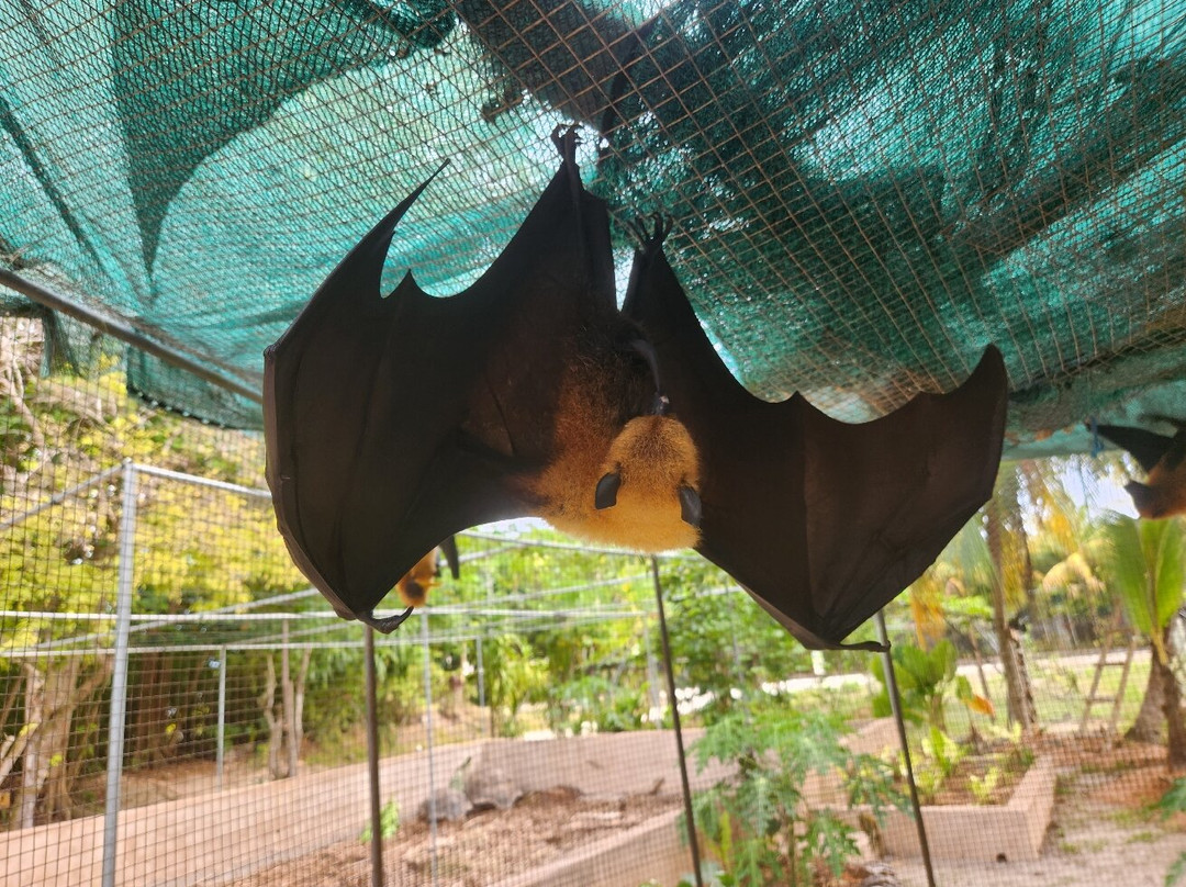 Praslin Museum-普拉兰岛必去景点