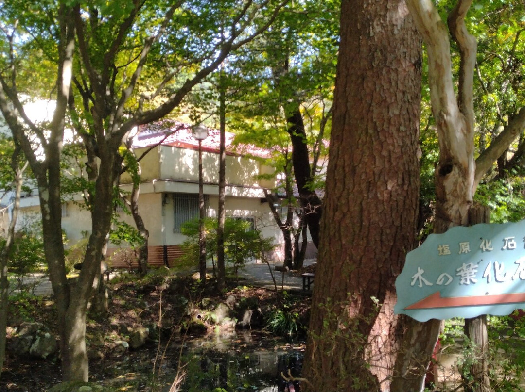 Konoha Fossils Museum-那须盐原市必去景点