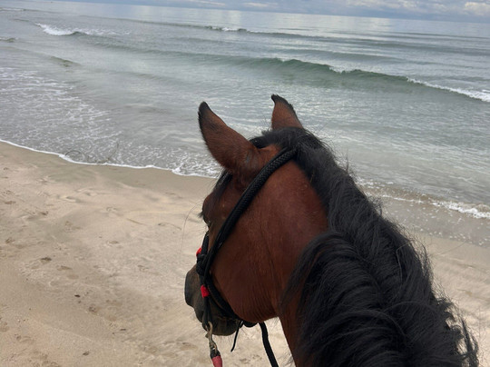 Izzy Rides CR-旧港必去景点