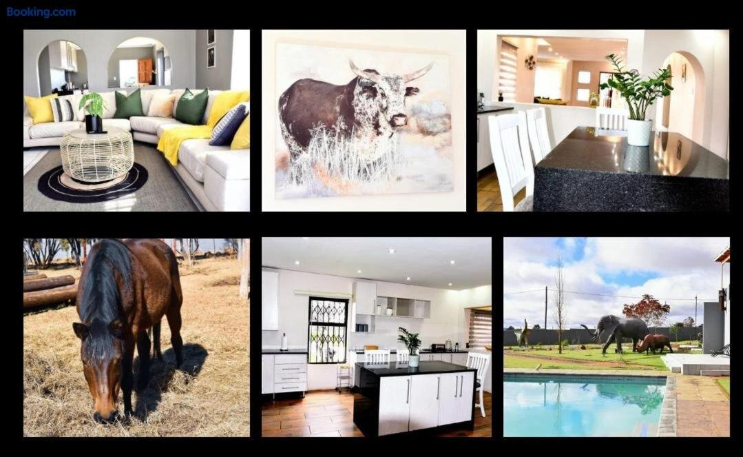 Zari On Vaal Country Lodge