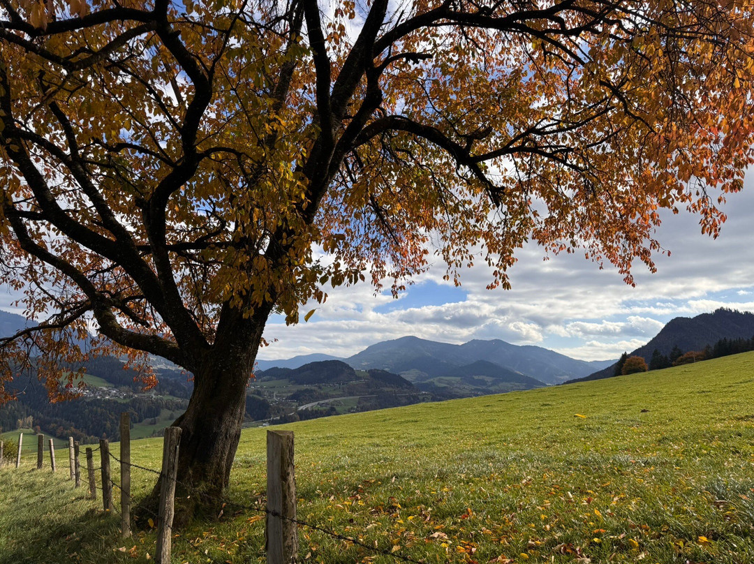 The Sound of Music Trail-维尔芬必去景点