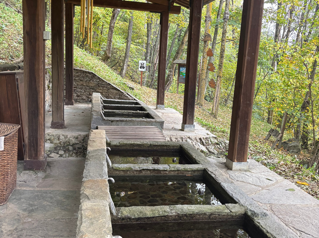 Il Bosco Incantato-Ostana必去景点