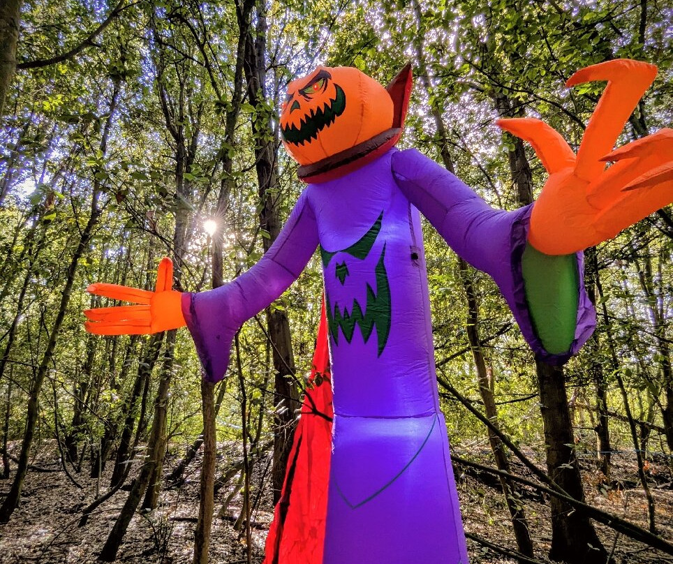 Betteshanger Park-迪奥必去景点