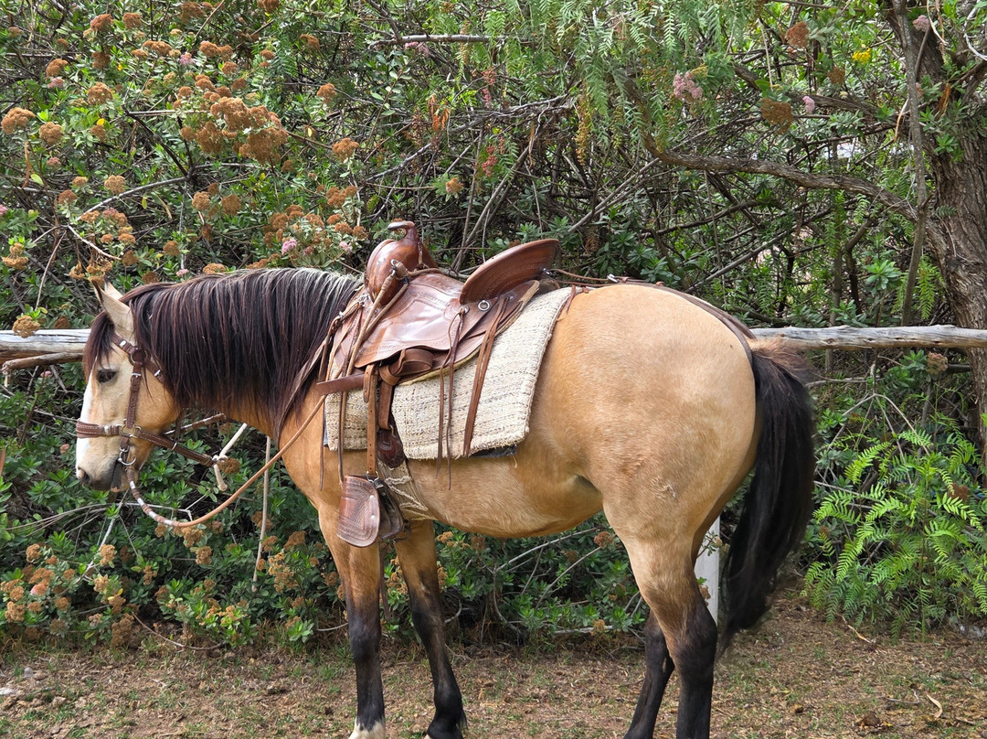 Salineras Ranch-乌鲁班巴必去景点