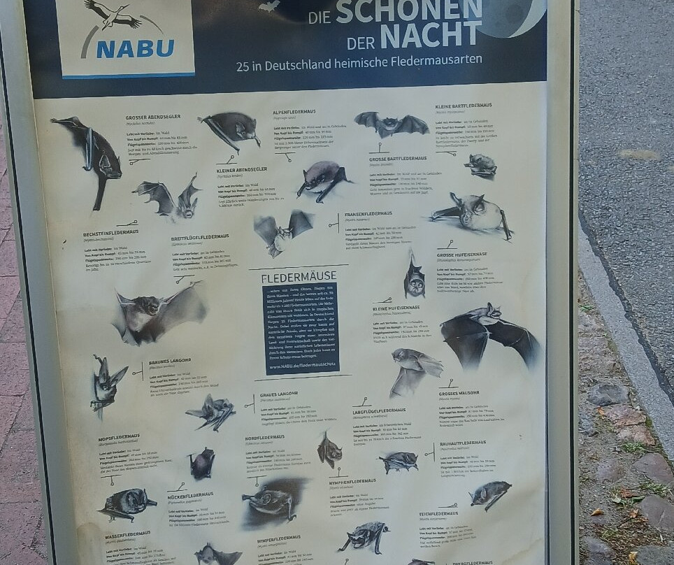 Naturum Göhrde Waldmuseum-Gohrde必去景点