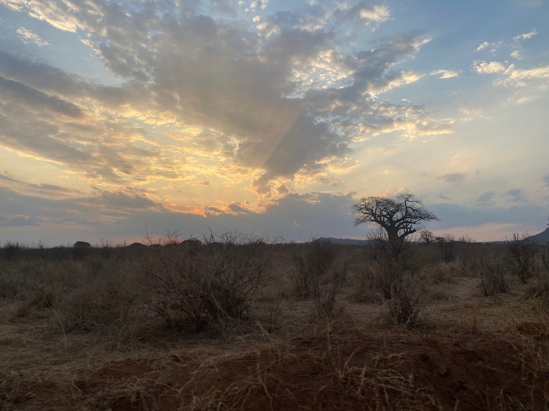 African Scenic Safaris-莫西必去景点