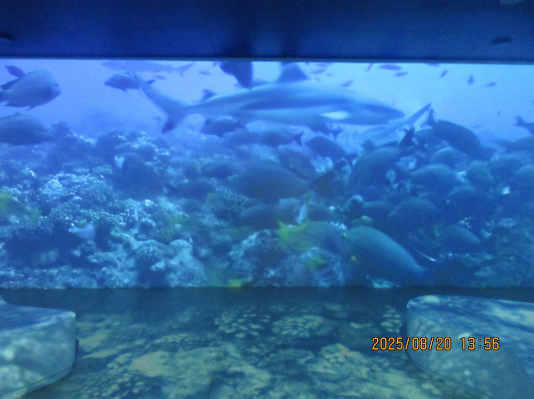 Te Fare Natura-帕佩托艾必去景点