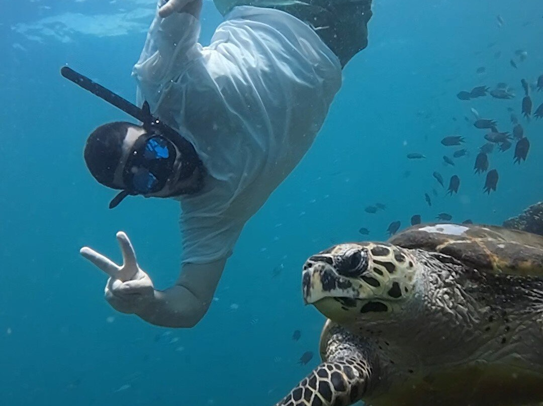 Gili Layar-龙目岛必去景点