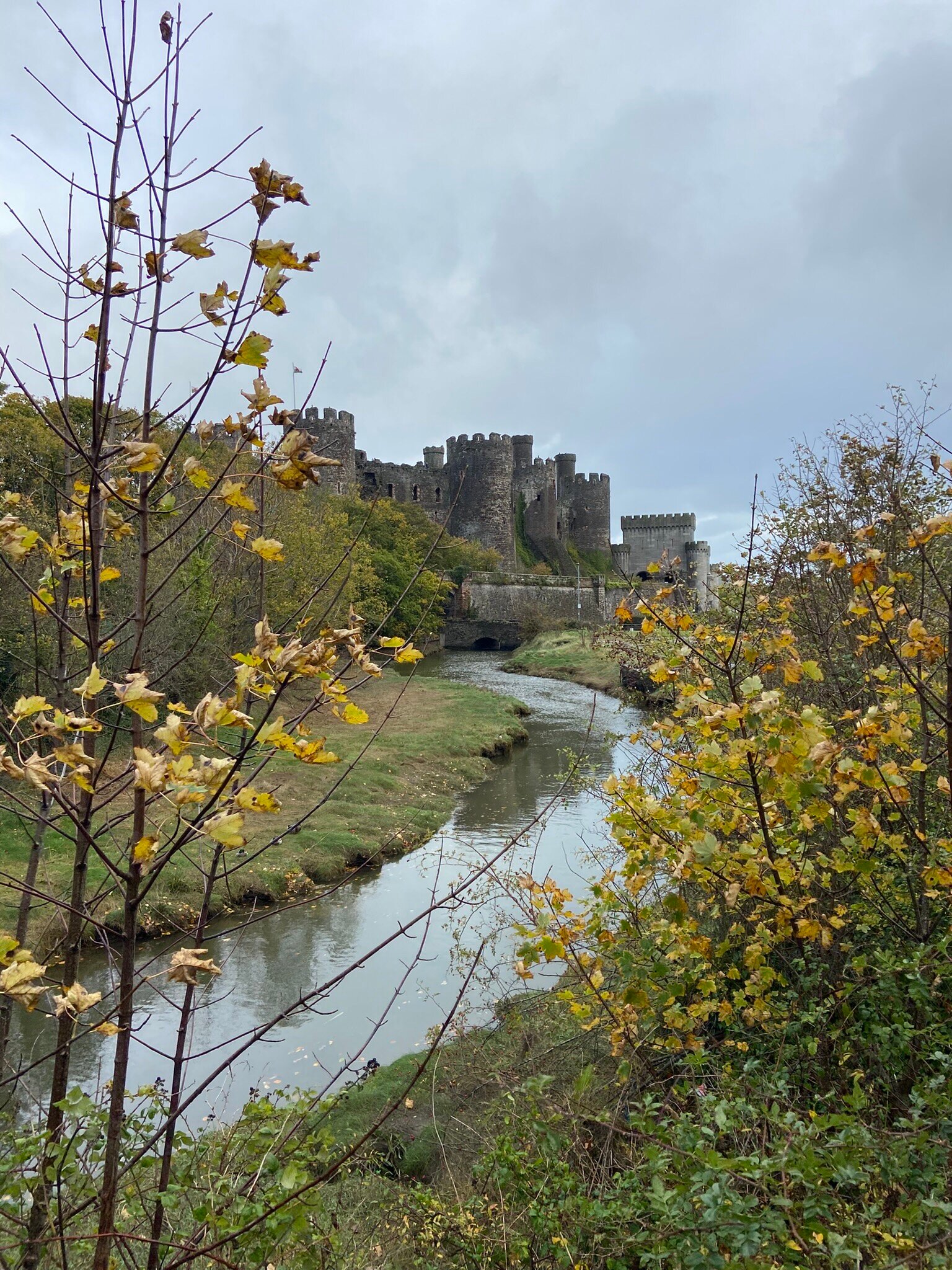 The Kinmel and Kinspa-官方