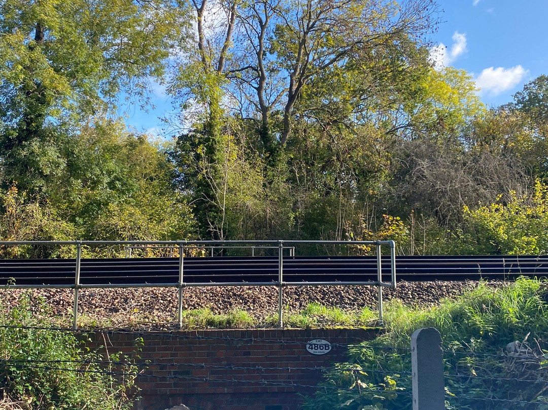 百肯翰姆普勒斯-贝肯汉姆必去景点