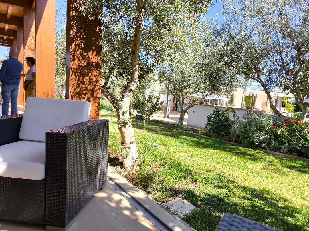 Terre di Zaccanello主图