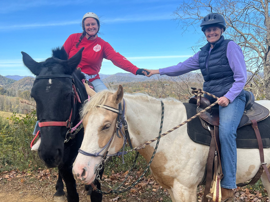 Sandy Bottom Trail Rides-Marshall必去景点