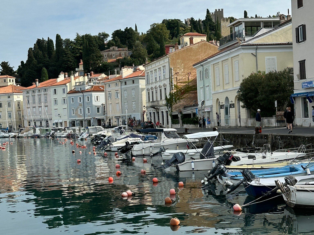 Port Piran-皮兰必去景点