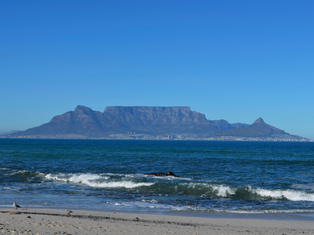 Catz Tours & Safaris-约翰内斯堡必去景点