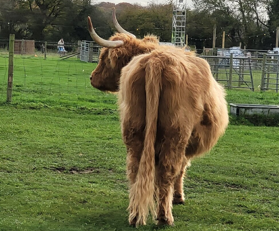 Odds Farm Park-海威科姆必去景点