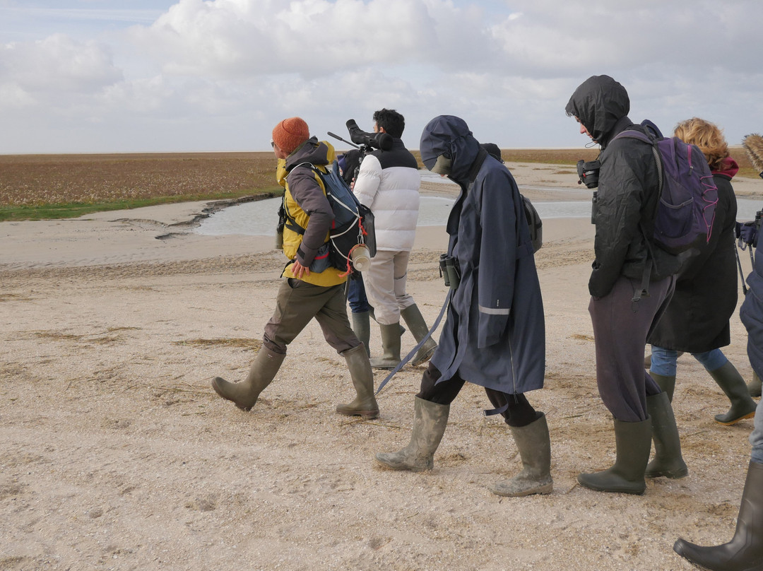 Maxim Guide Baie de Somme-Boismont必去景点