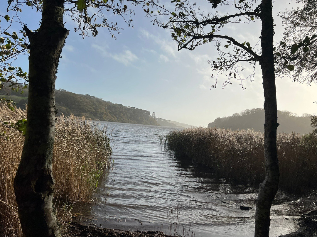 Penrose-赫尔斯顿必去景点