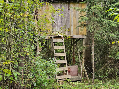 Wildlife Dreams-雾观必去景点