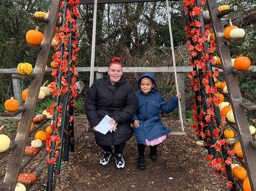 Hasty's Adventure Farm-滨海克拉克顿必去景点