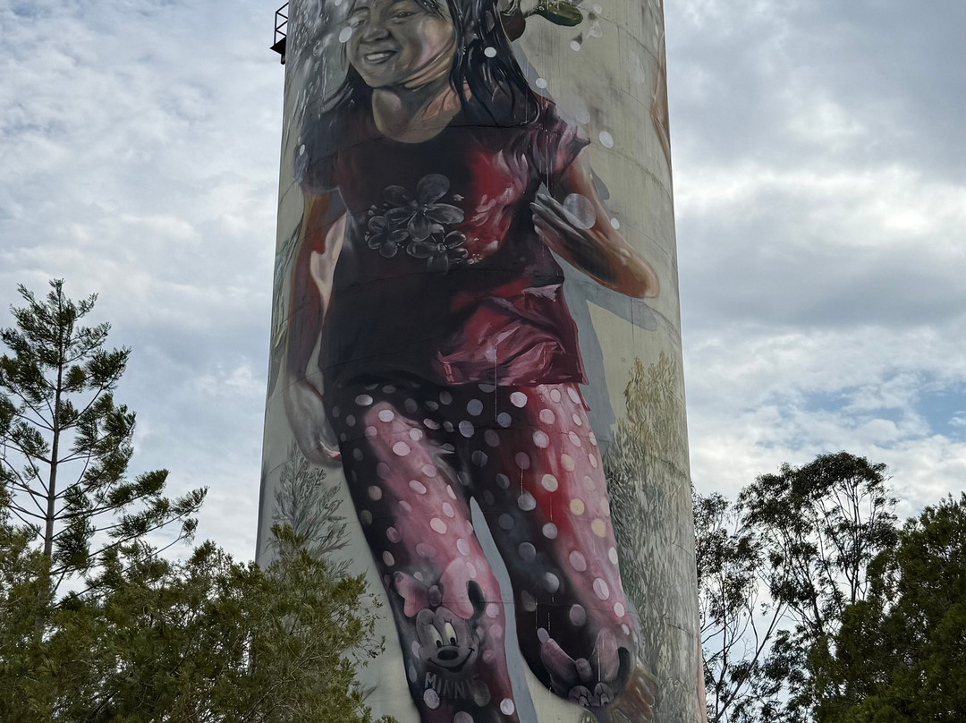 Monto Colonial Motor Inn主图