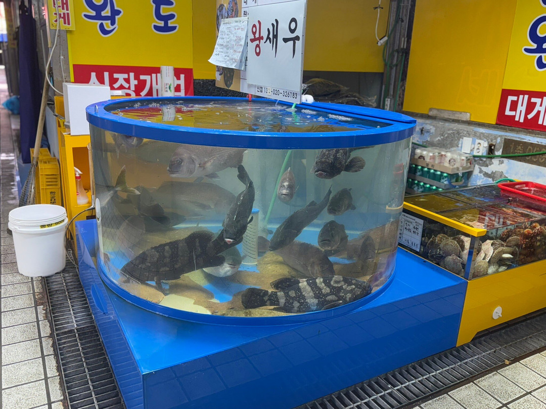 Sorae Pogu-仁川必去景点