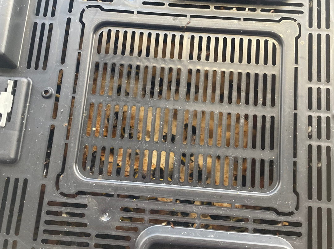 Clisol Turismo Agricola-艾尔艾吉多必去景点