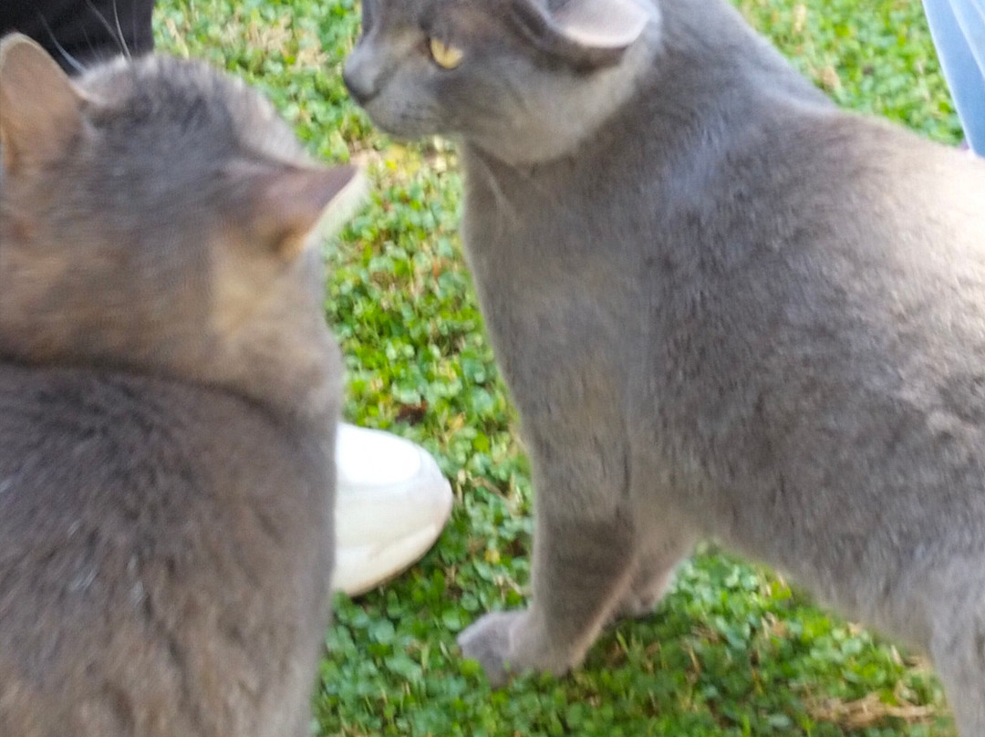 Marta Guest House主图