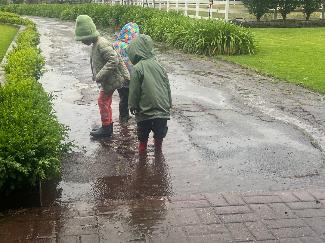 Animal Land Children's Farm-Diggers Rest必去景点