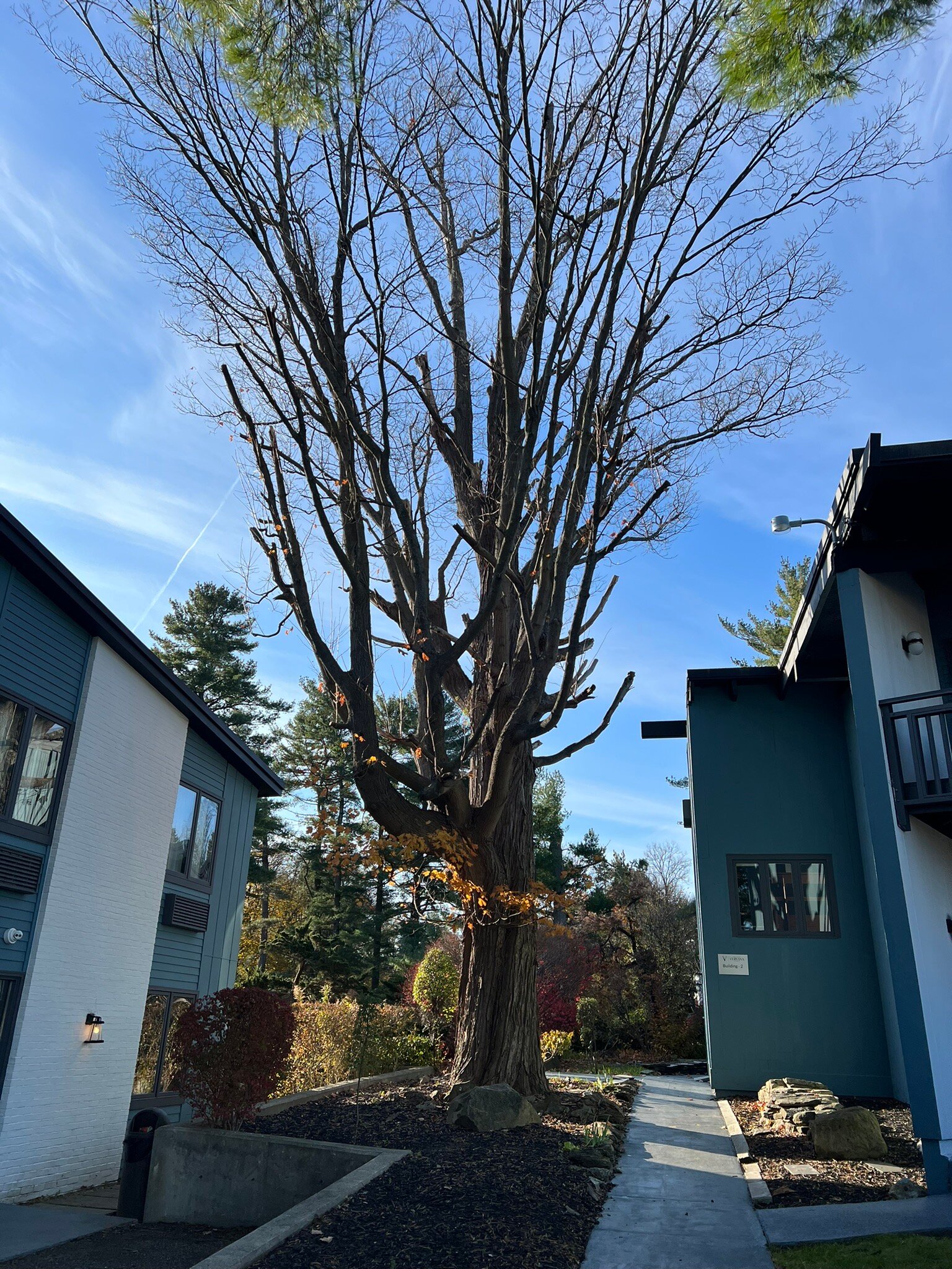 The Hotel Vervana At Bennington-官方