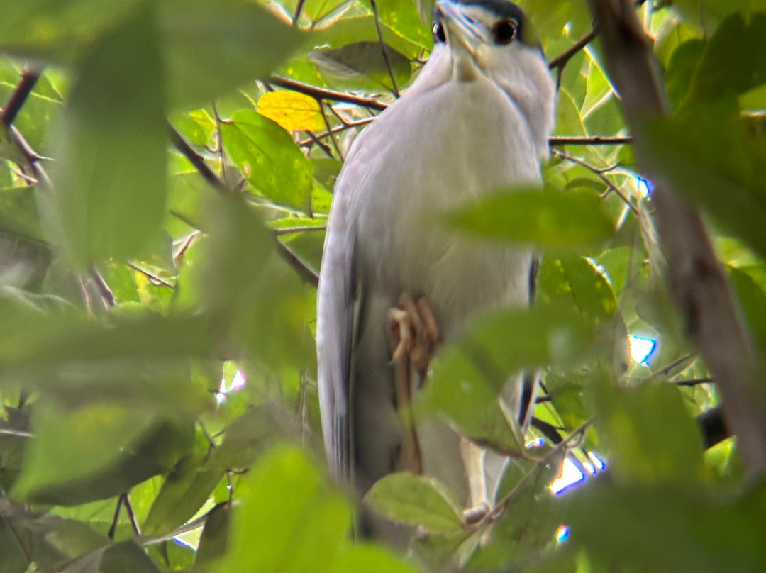 Oropopo Experience-圣何塞必去景点