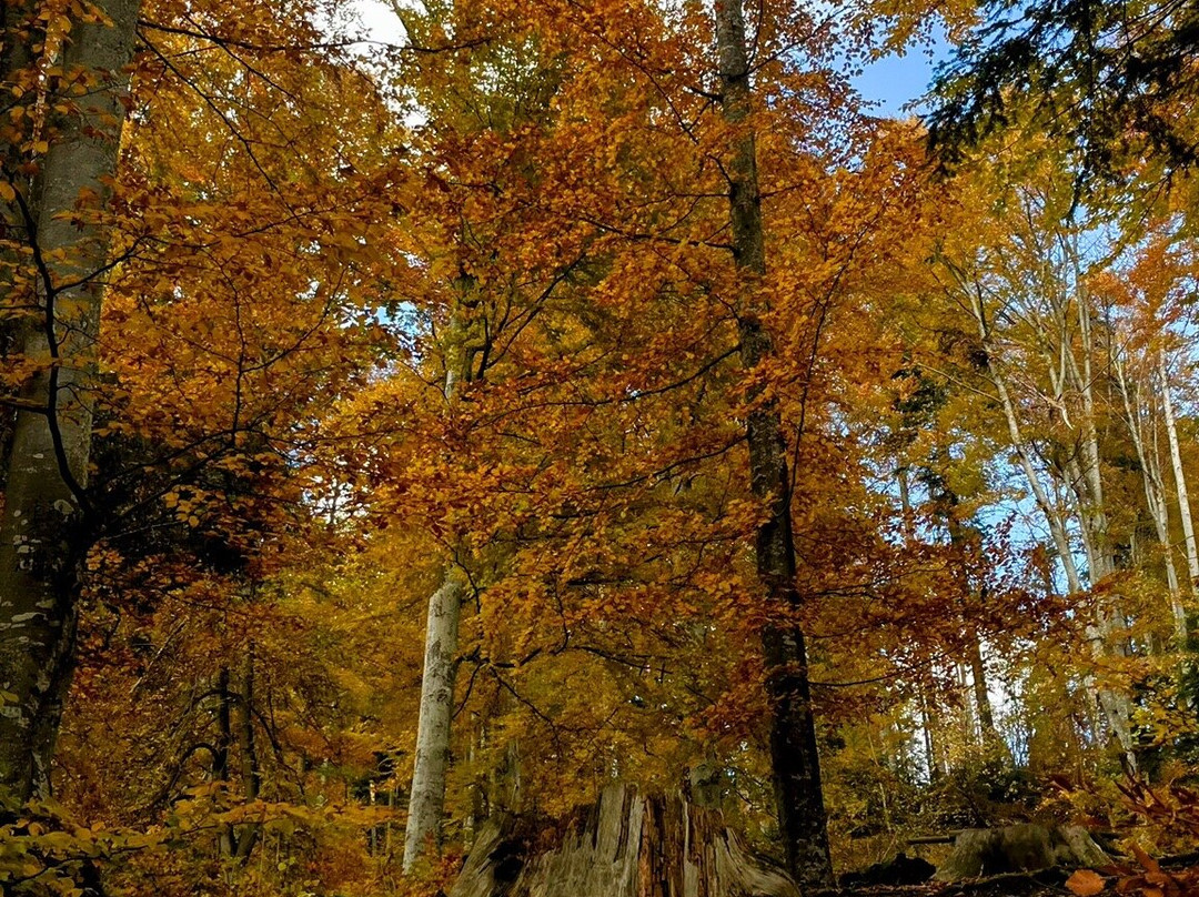 Santiago Tour Romania-布加勒斯特必去景点